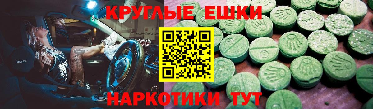 Ecstasy Philipp Plein  Ecstasy Punisher  Ecstasy  Вход с VPN  Красноярск 