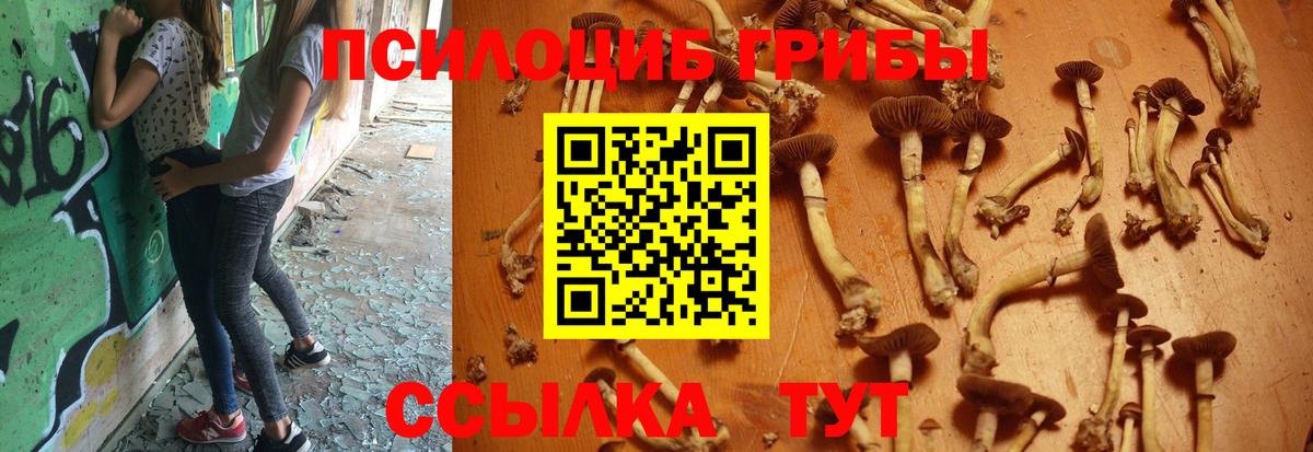 Псилоцибиновые грибы Magic Shrooms Красноярск